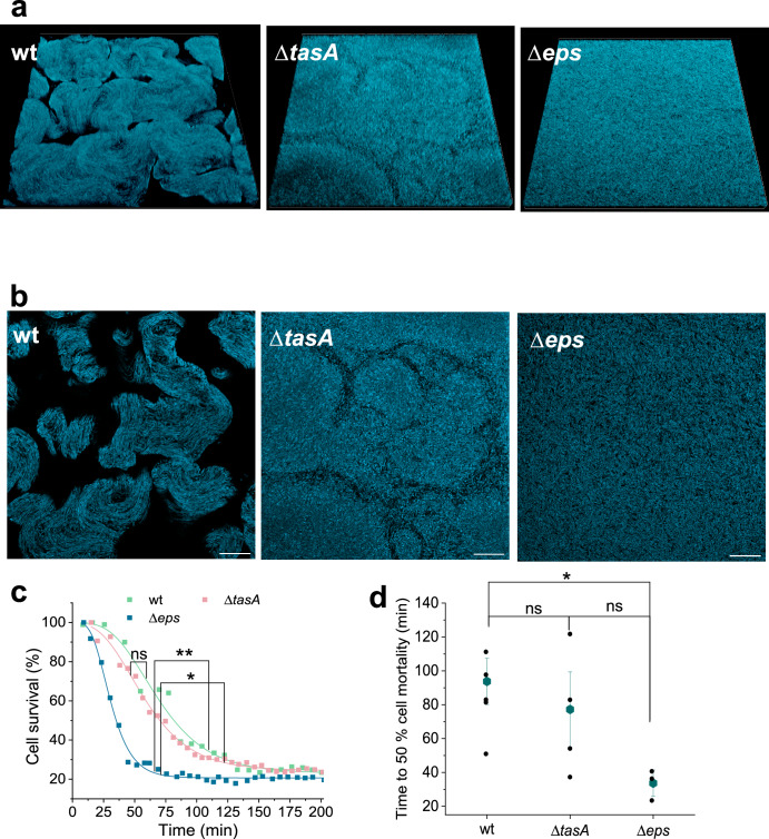 PMC12714748 – Fig5