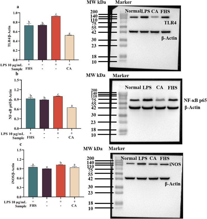 PMC11214619 – Fig2
