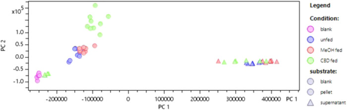 PMC11143246 – Fig4