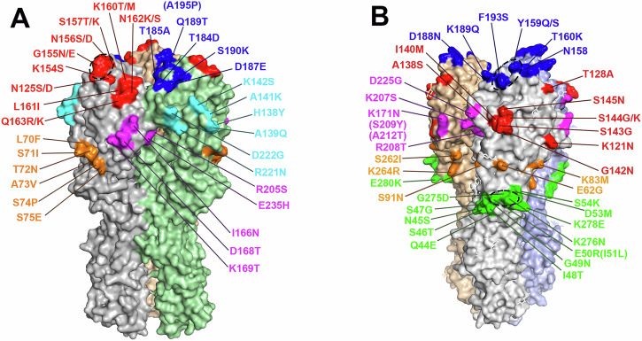 PMC12669751 – Fig1