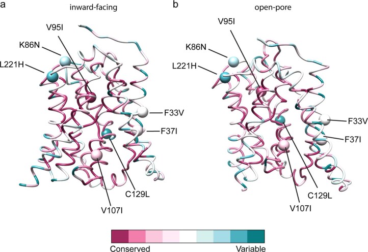 PMC9242856 – Fig10