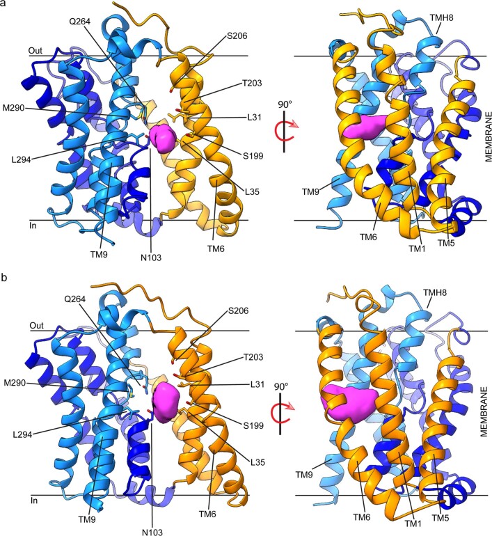PMC9242856 – Fig11