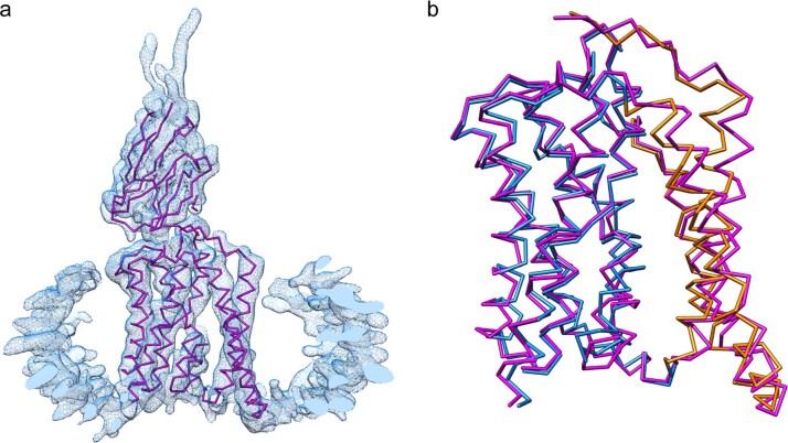 PMC9242856 – Fig12