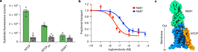 PMC9242856 – Fig1