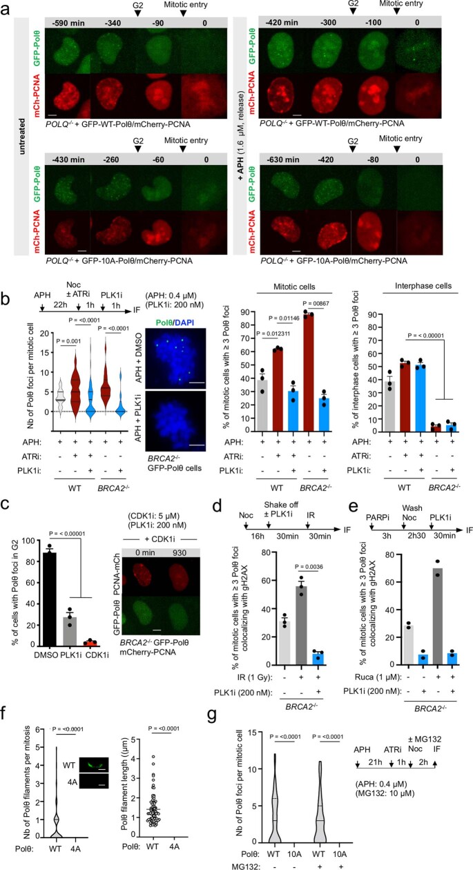 PMC10499603 – Fig12