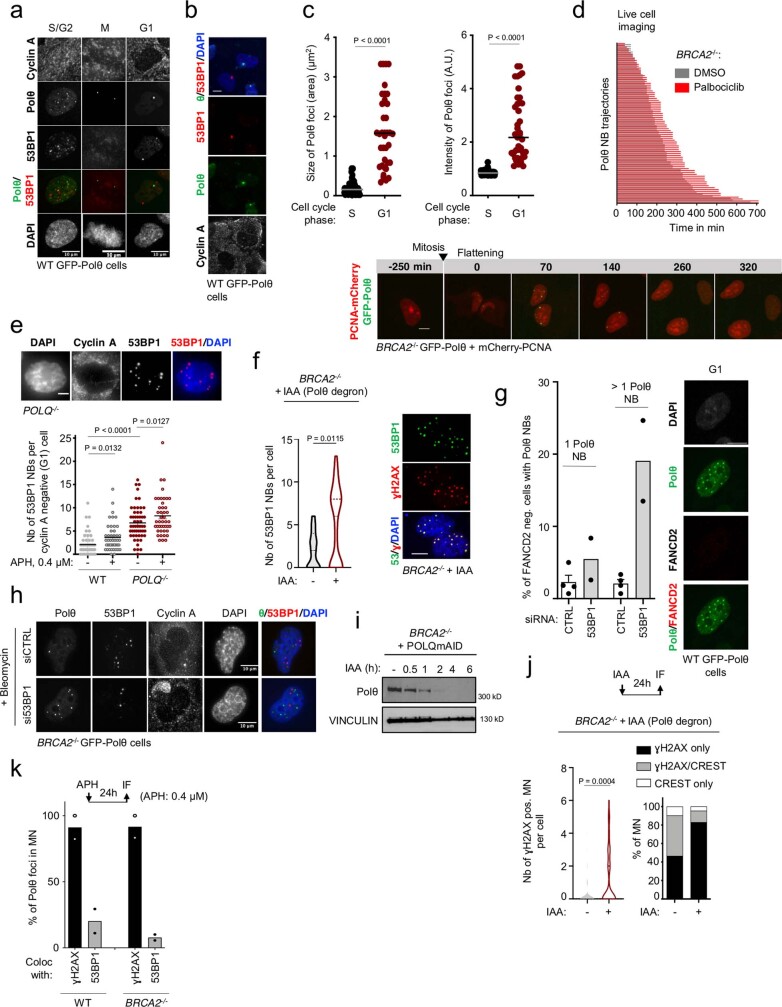 PMC10499603 – Fig13