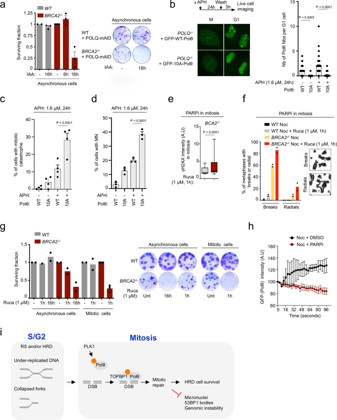 PMC10499603 – Fig14