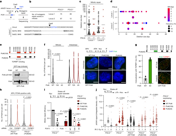 PMC10499603 – Fig3