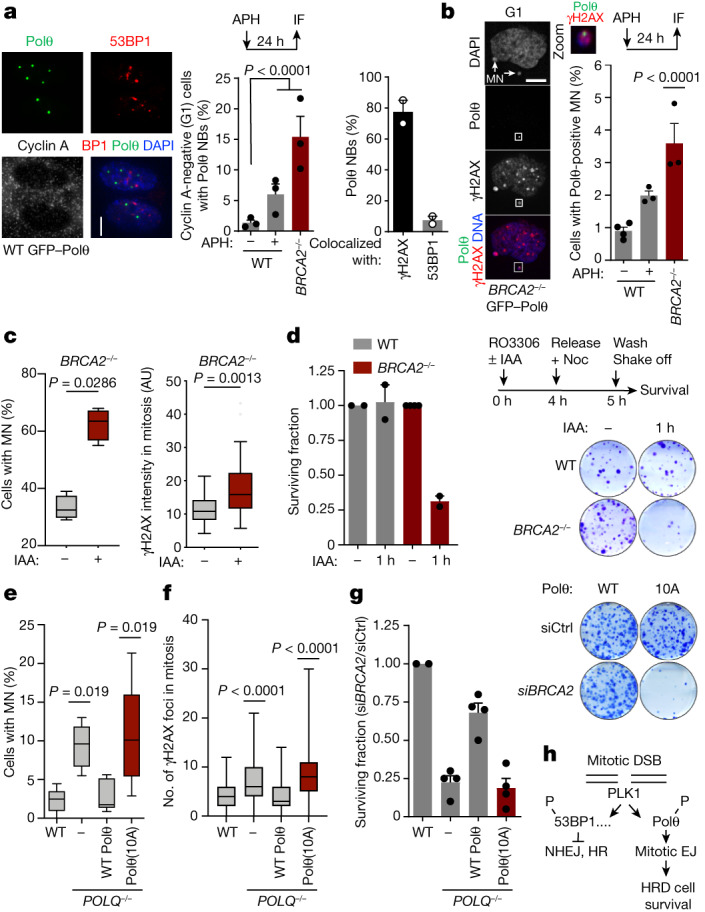 PMC10499603 – Fig4