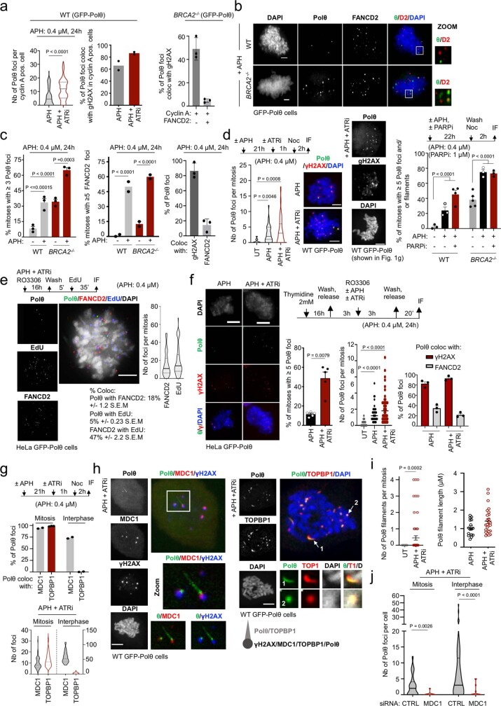 PMC10499603 – Fig6