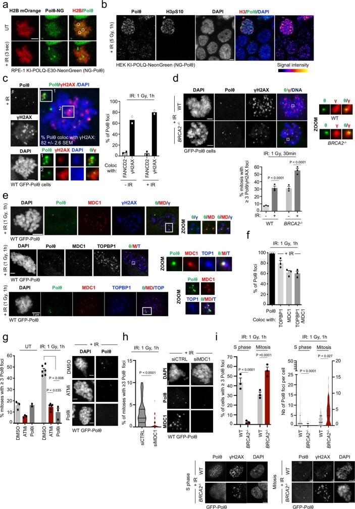 PMC10499603 – Fig7