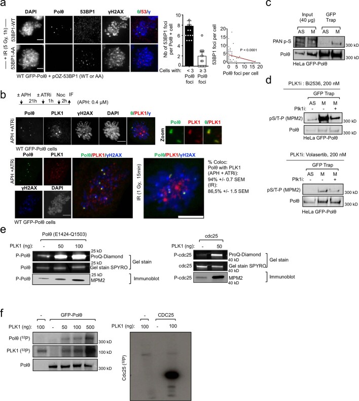 PMC10499603 – Fig8