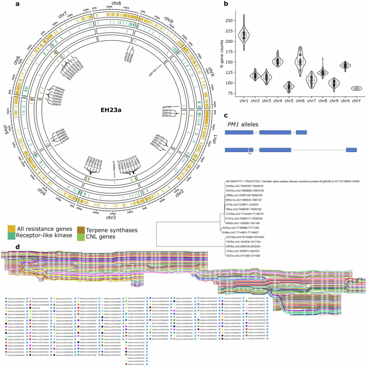 PMC12286863 – Fig13