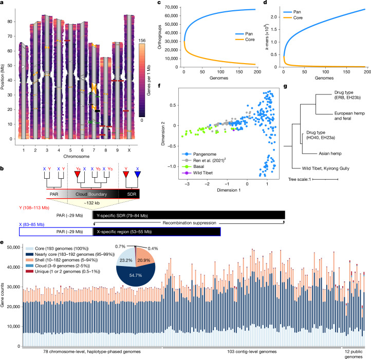PMC12286863 – Fig1