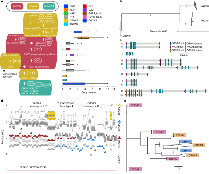 PMC12286863 – Fig4