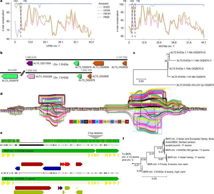 PMC12286863 – Fig5