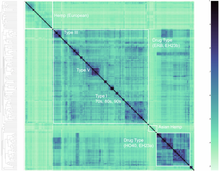 PMC12286863 – Fig6