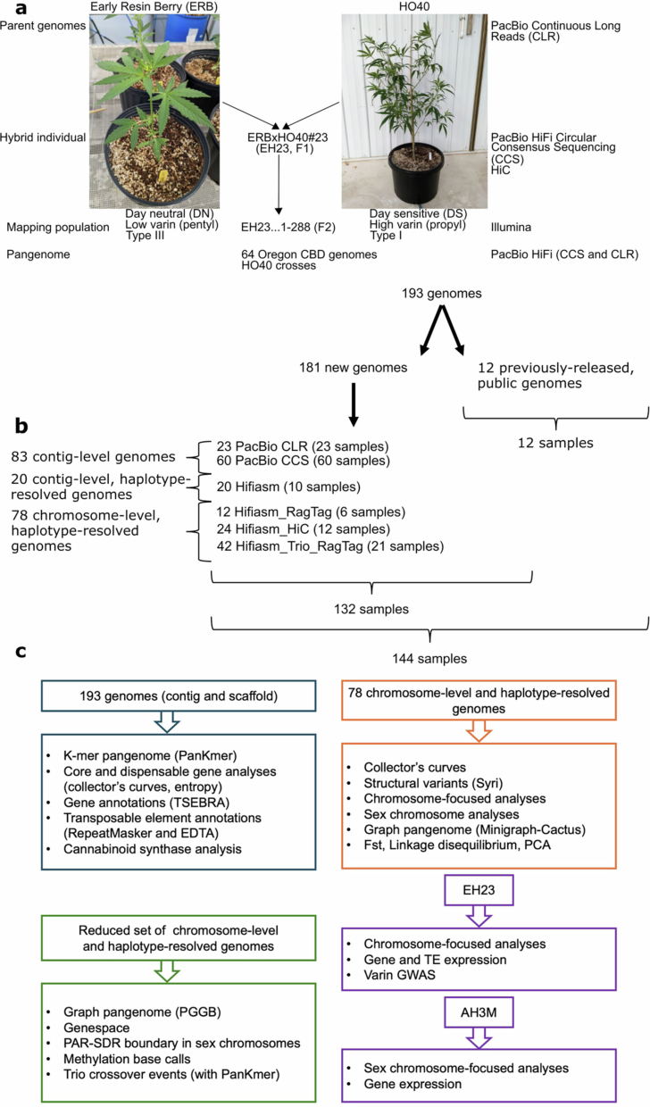 PMC12286863 – Fig7