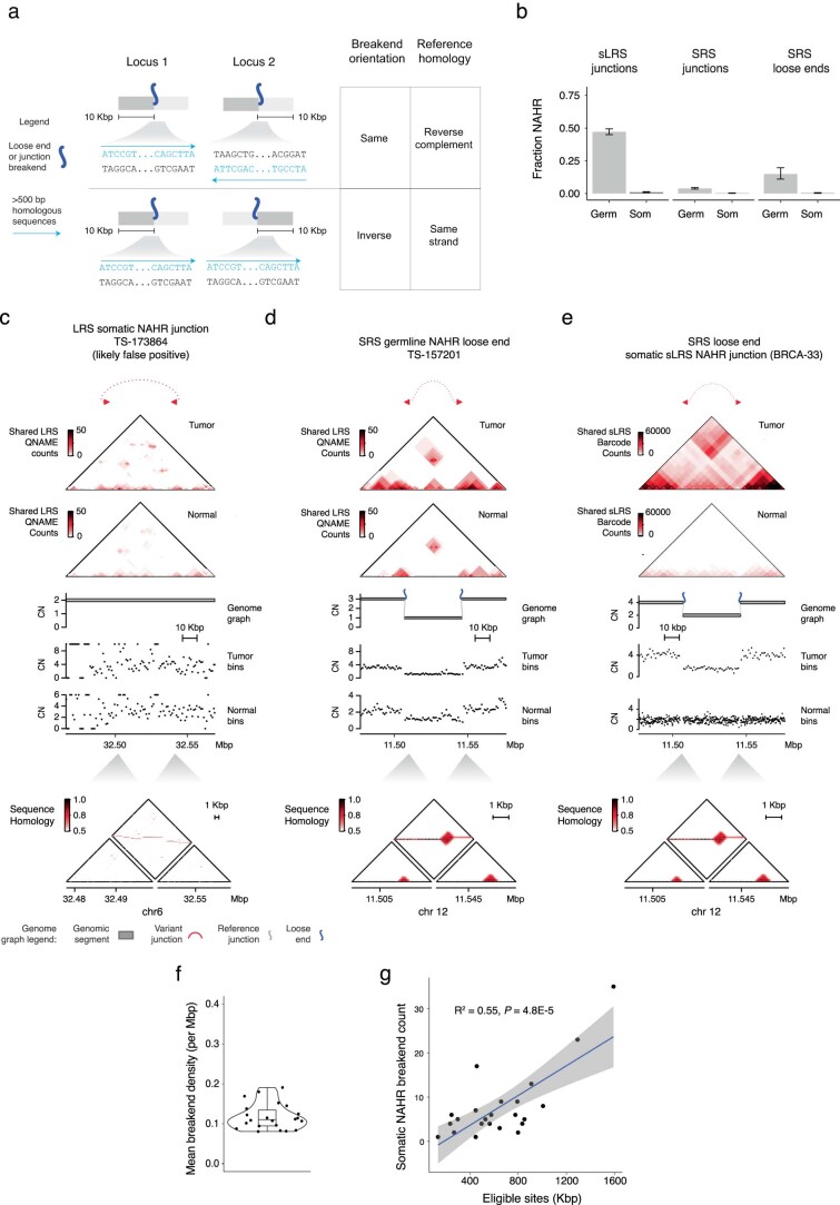 PMC10703688 – Fig15