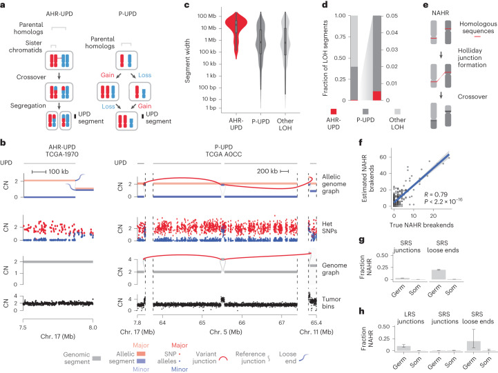 PMC10703688 – Fig4