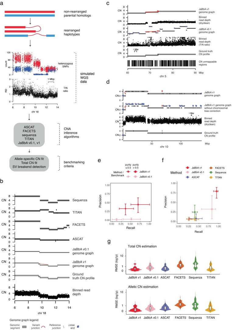 PMC10703688 – Fig8