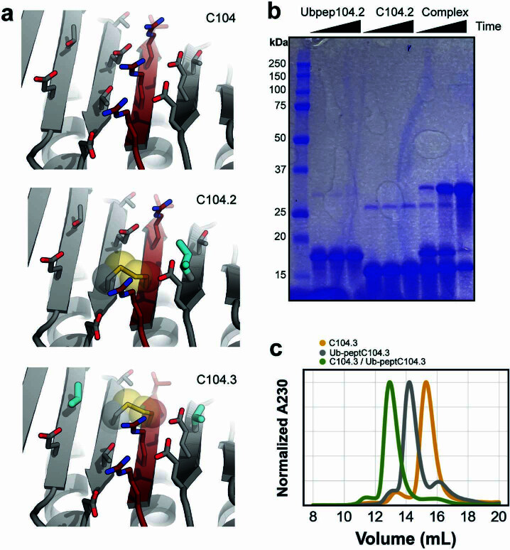 PMC11288891 – Fig10