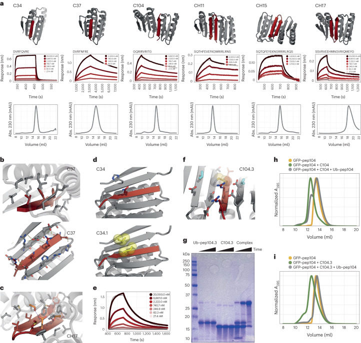 PMC11288891 – Fig2