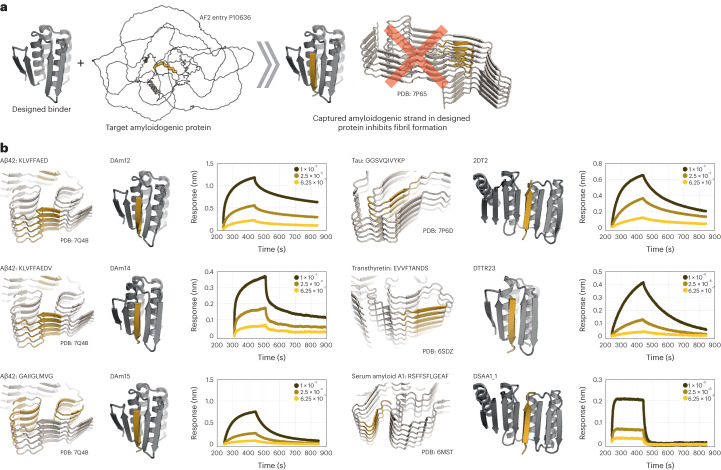 PMC11288891 – Fig5