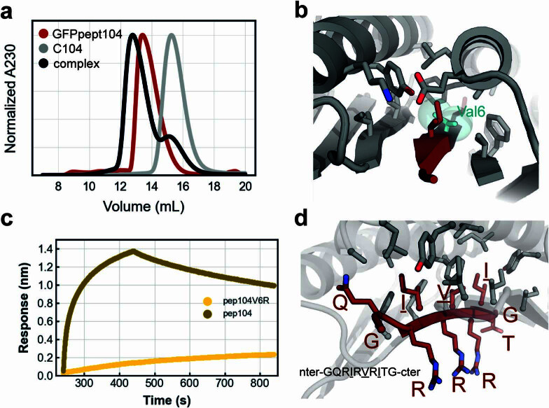 PMC11288891 – Fig7