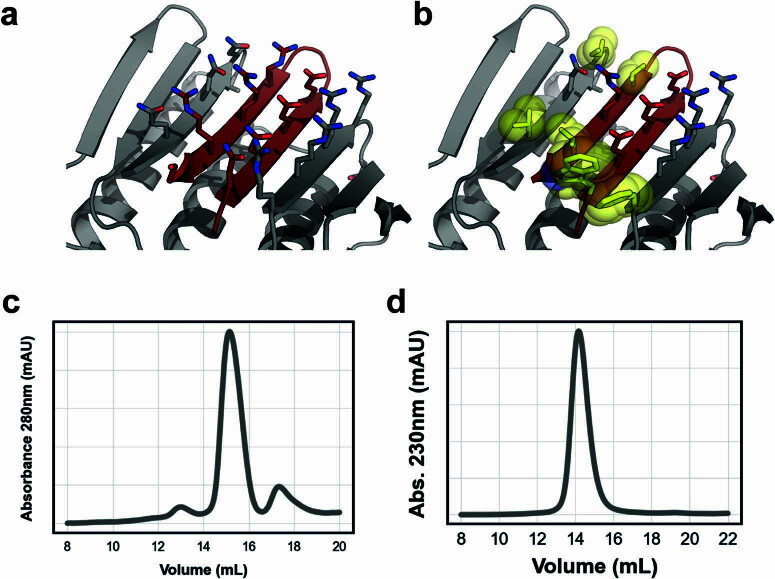 PMC11288891 – Fig9