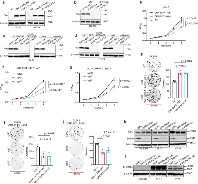 PMC10716047 – Fig10