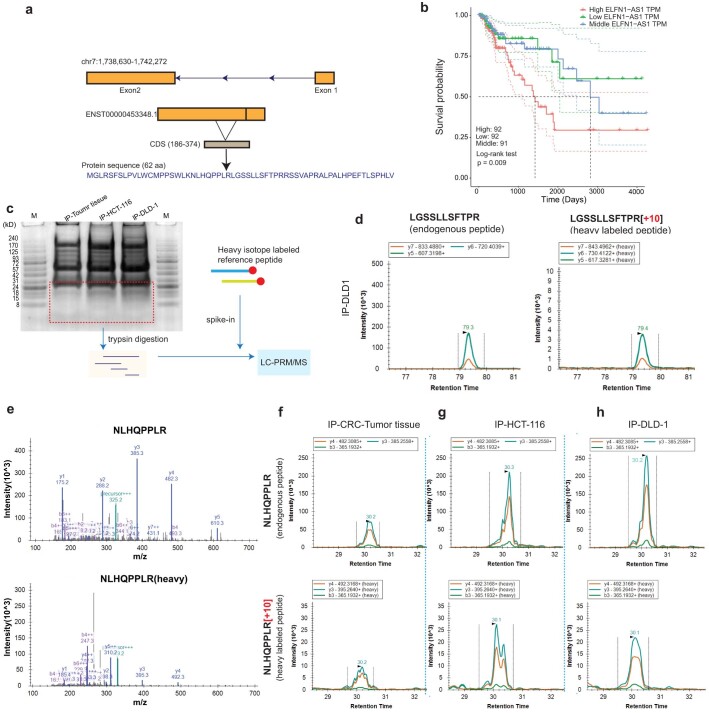 PMC10716047 – Fig11