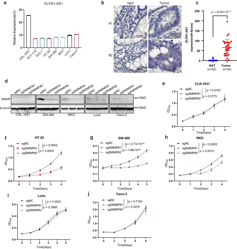 PMC10716047 – Fig12
