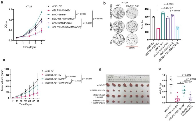 PMC10716047 – Fig13