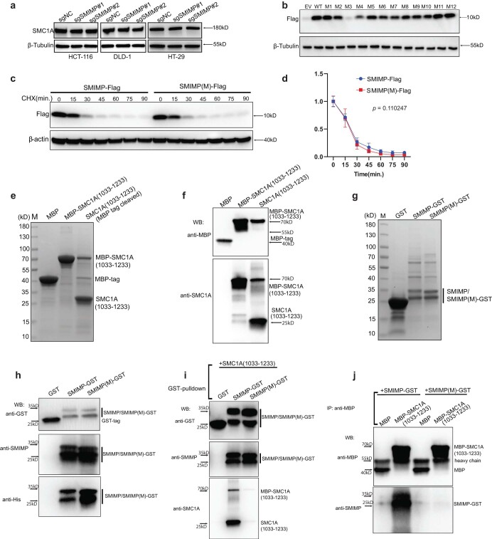 PMC10716047 – Fig14