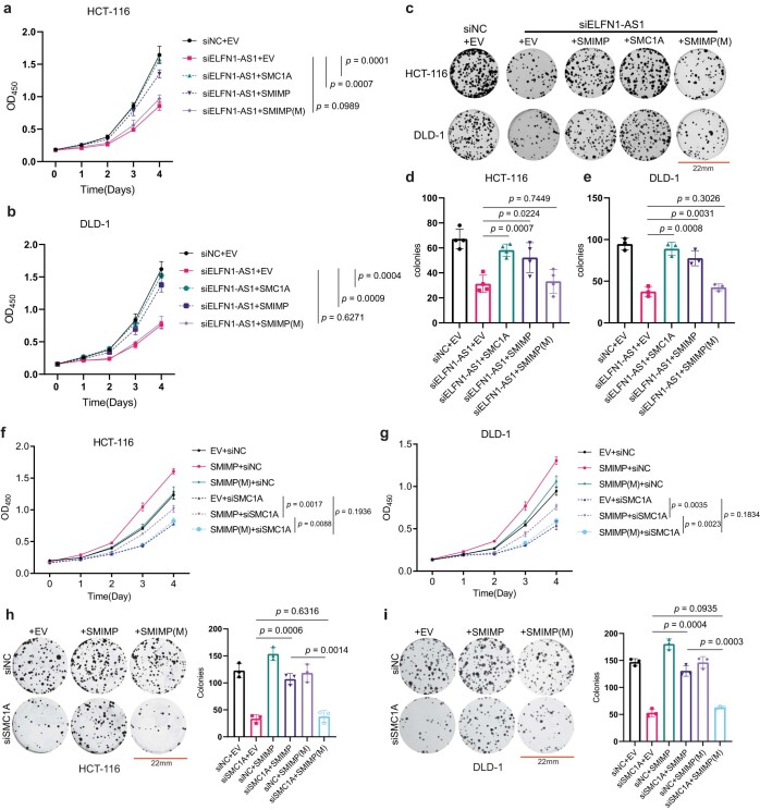 PMC10716047 – Fig15