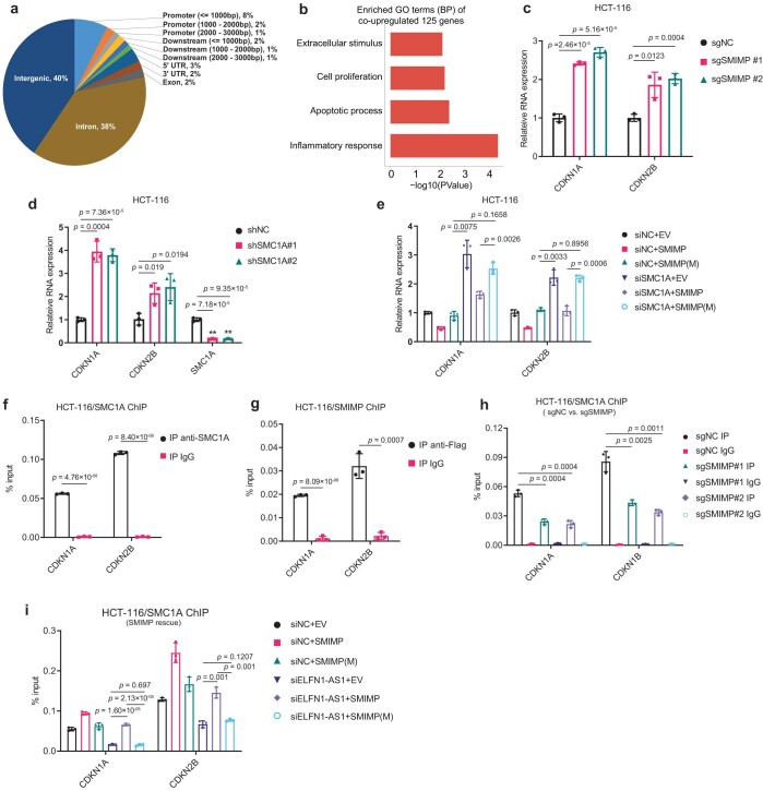 PMC10716047 – Fig16