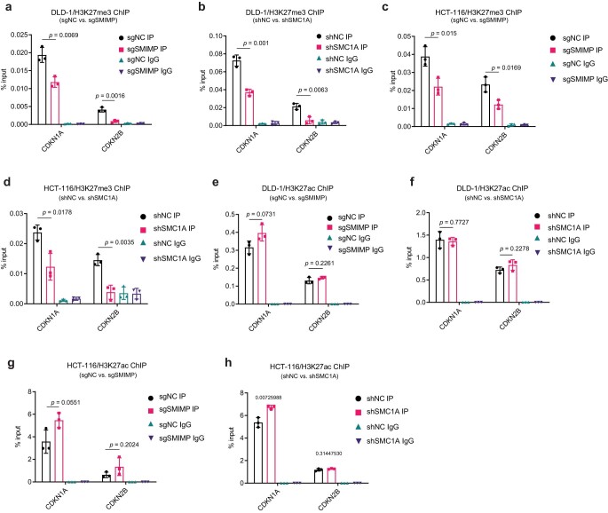PMC10716047 – Fig17