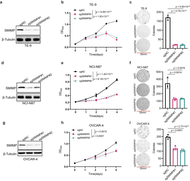 PMC10716047 – Fig18