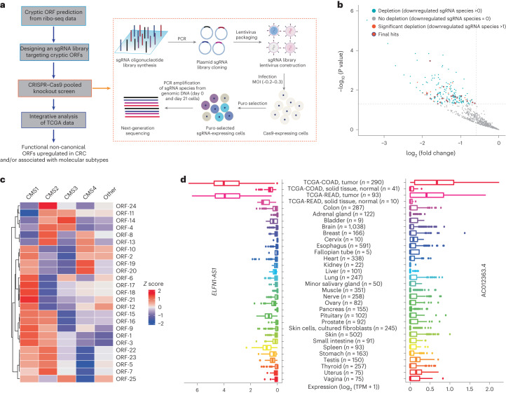 PMC10716047 – Fig1