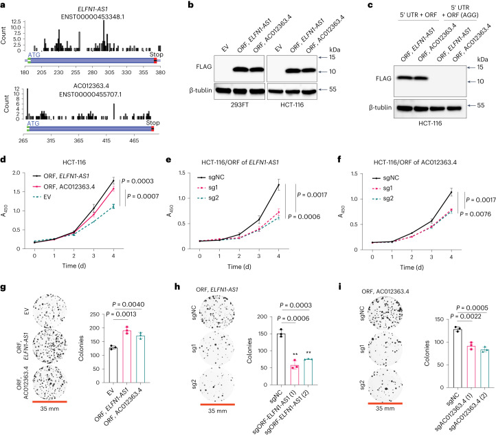 PMC10716047 – Fig2