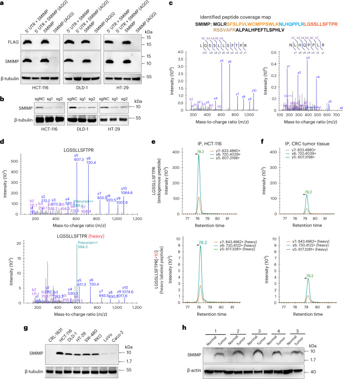 PMC10716047 – Fig3
