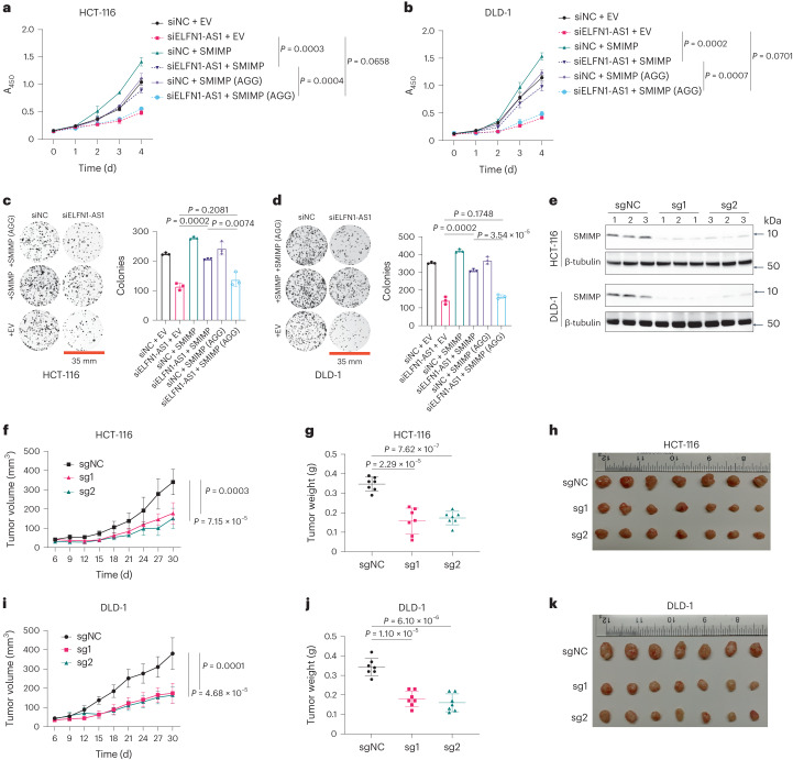 PMC10716047 – Fig4