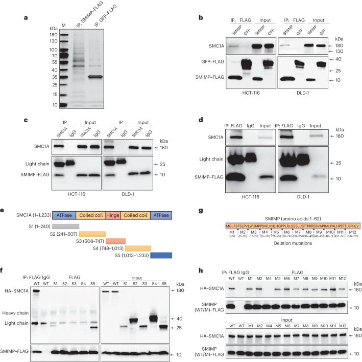 PMC10716047 – Fig5