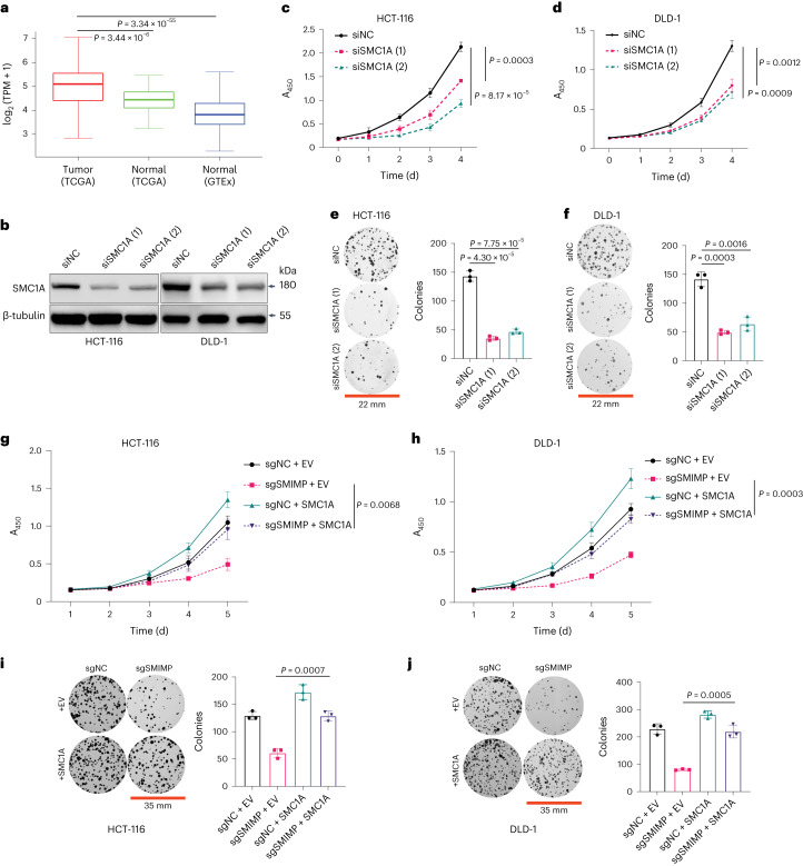 PMC10716047 – Fig6