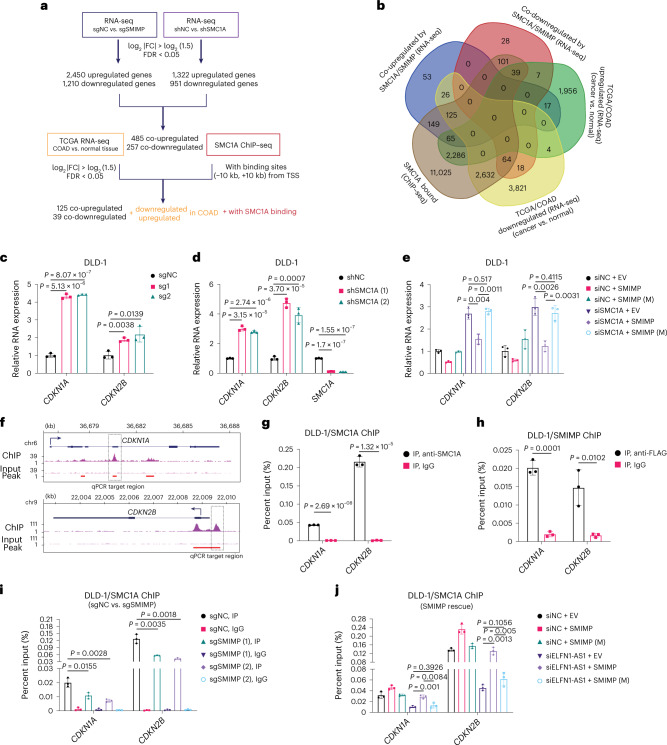 PMC10716047 – Fig7