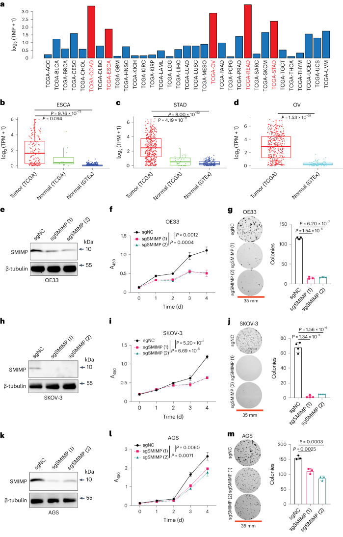 PMC10716047 – Fig8