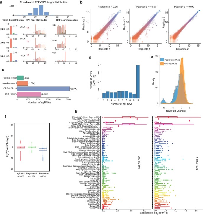 PMC10716047 – Fig9