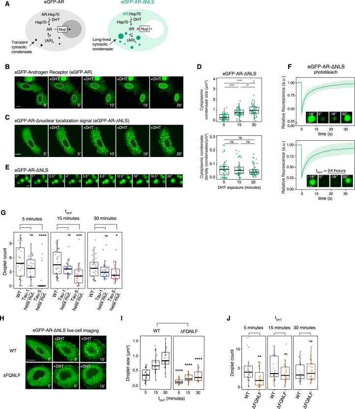 PMC10716049 – Fig10