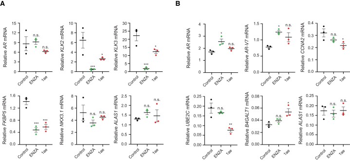 PMC10716049 – Fig14